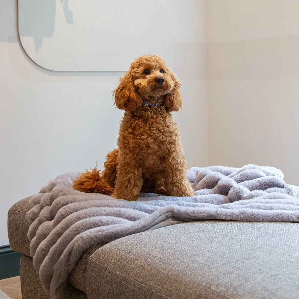 Aspen Pet Blanket - Grey