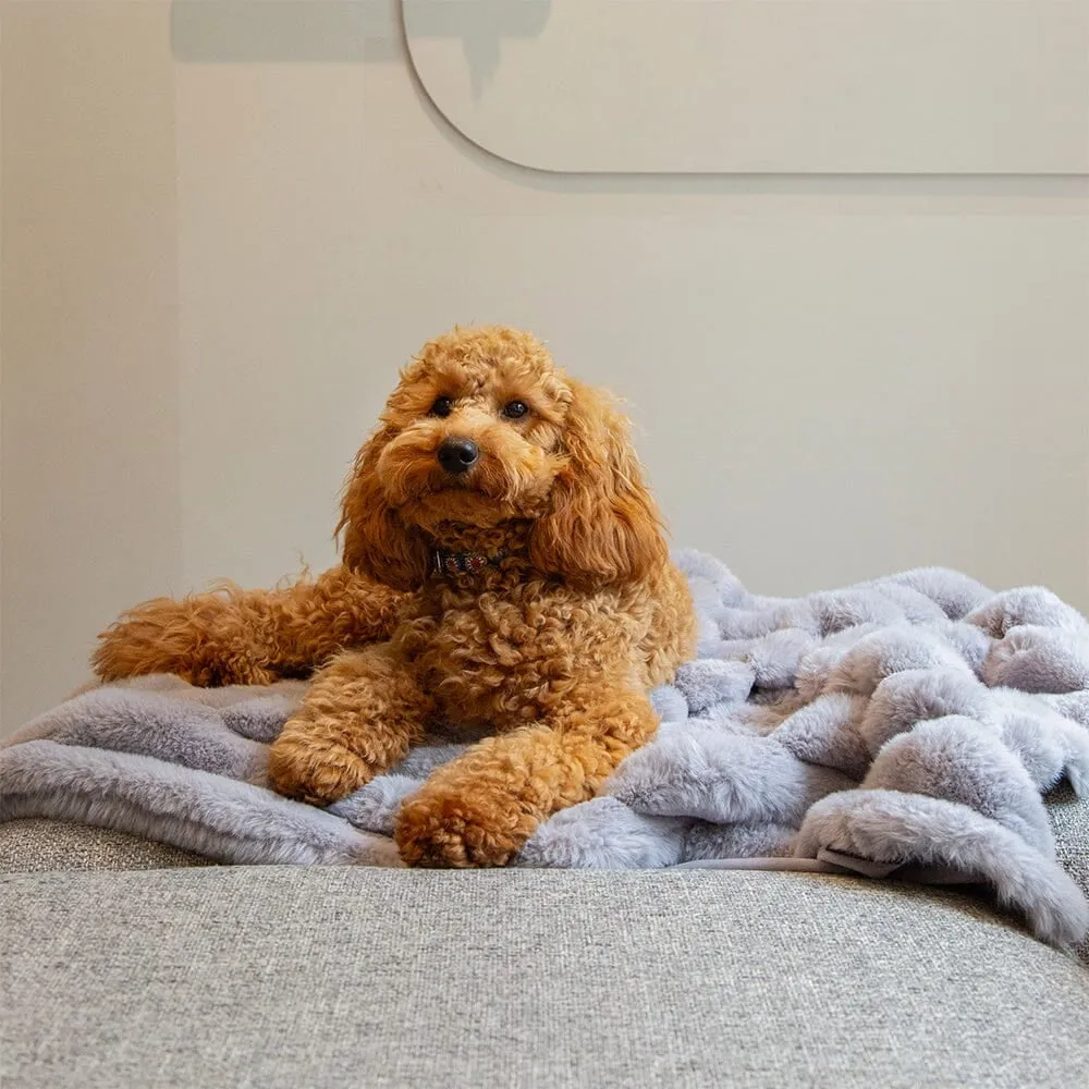 Aspen Pet Blanket - Grey