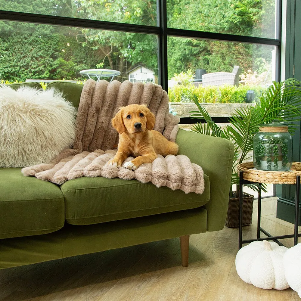 Aspen Pet Blanket - Taupe