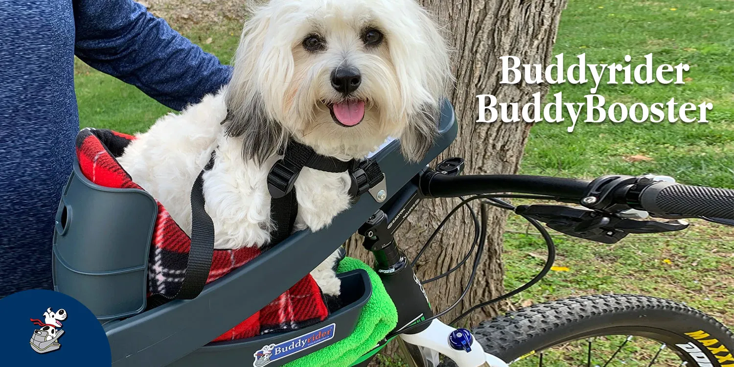 Buddyrider Series 2 Plus Booster Seat Combo