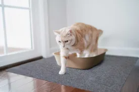 Cat Litter Mat