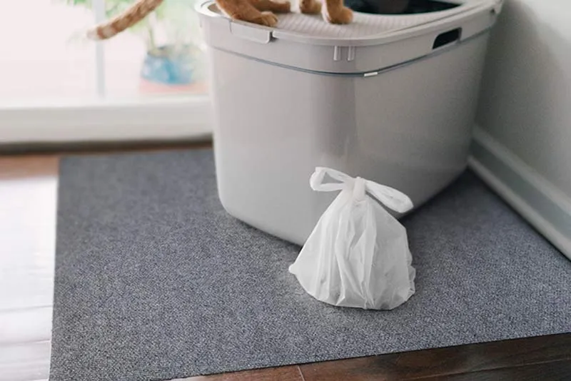 Cat Litter Mat