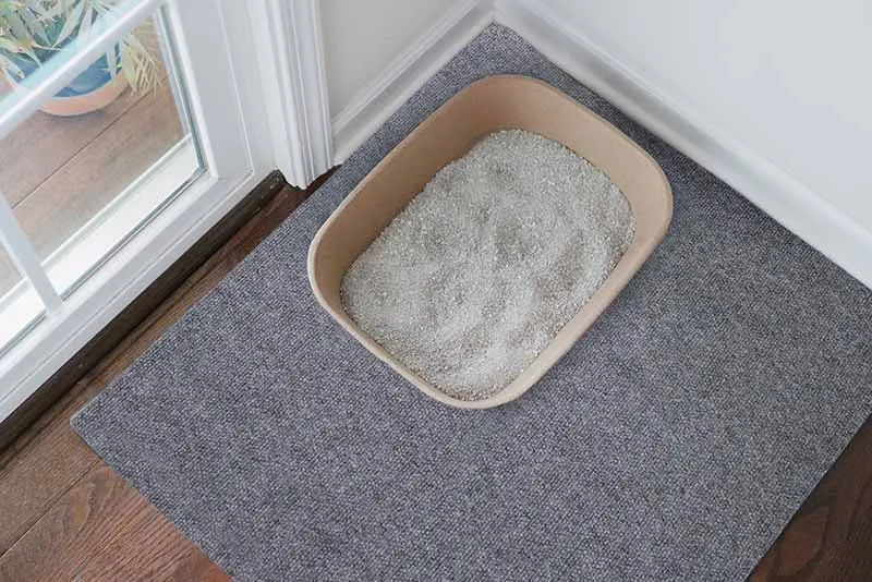 Cat Litter Mat