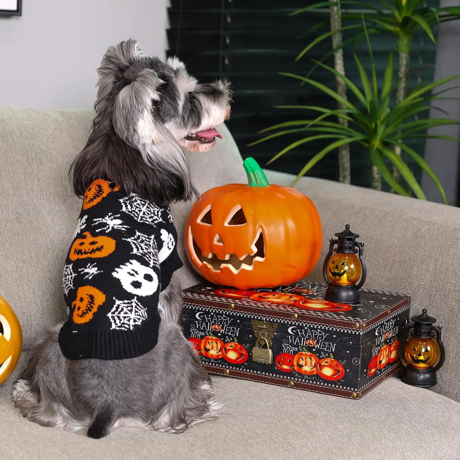 CuteBone Skull Dog Sweater Black Dog Sweater with Leash Hole Puppy Clothes for Medium Dogs Cozy Sweatshirts Puppy Sweater for Chihuahua Yorkie Teacup DS100L