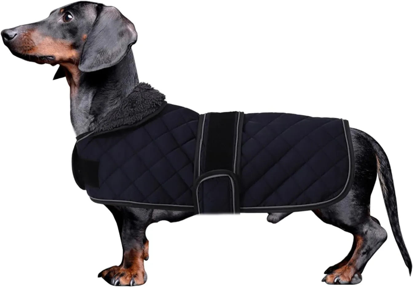 Dachshund Coat Dog Coats for Dachshunds Dachshund Winter Jacket with Padded Fleece Outdoor Dog Clothes with Adjustable Bands - Dark Blue - M