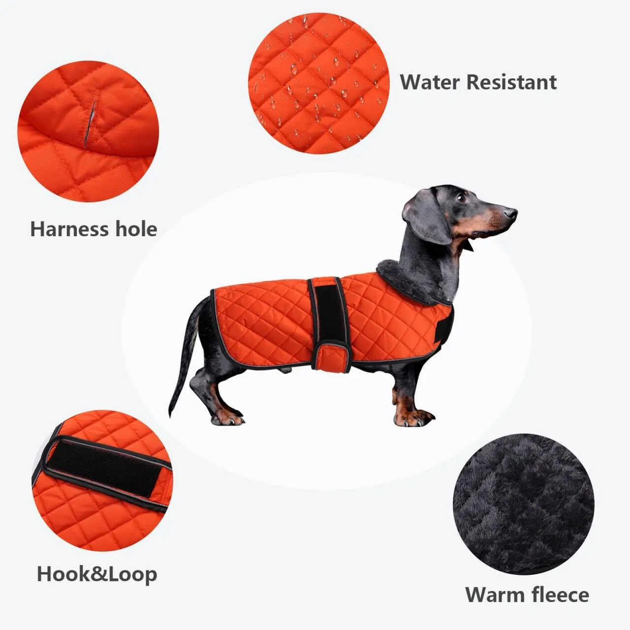 Dachshund Coat Dog Coats for Dachshunds Dachshund Winter Jacket with Padded Fleece Outdoor Dog Clothes with Adjustable Bands - Orange - M