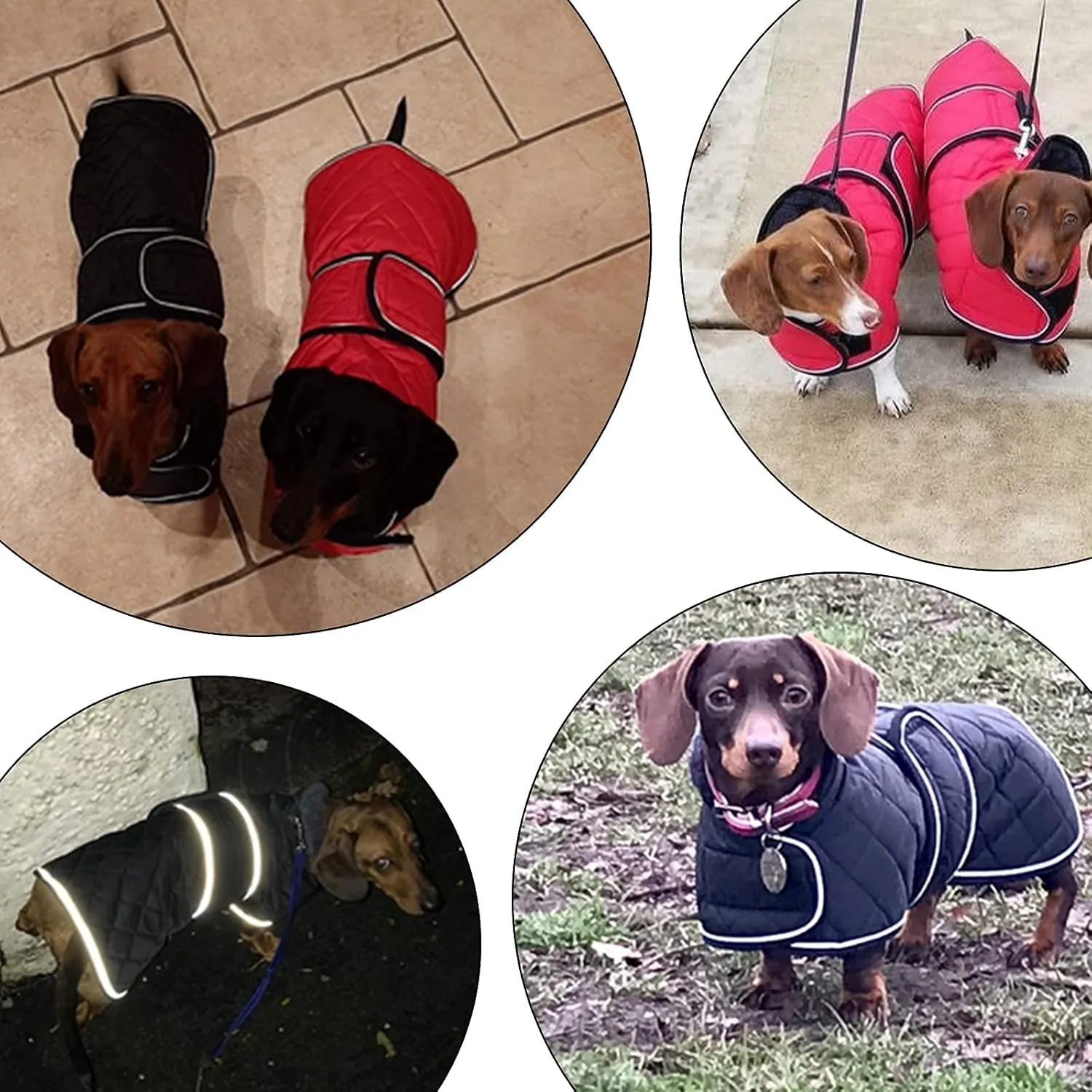 Dachshund Coat Dog Coats for Dachshunds Dachshund Winter Jacket with Padded Fleece Outdoor Dog Clothes with Adjustable Bands - Pink - M