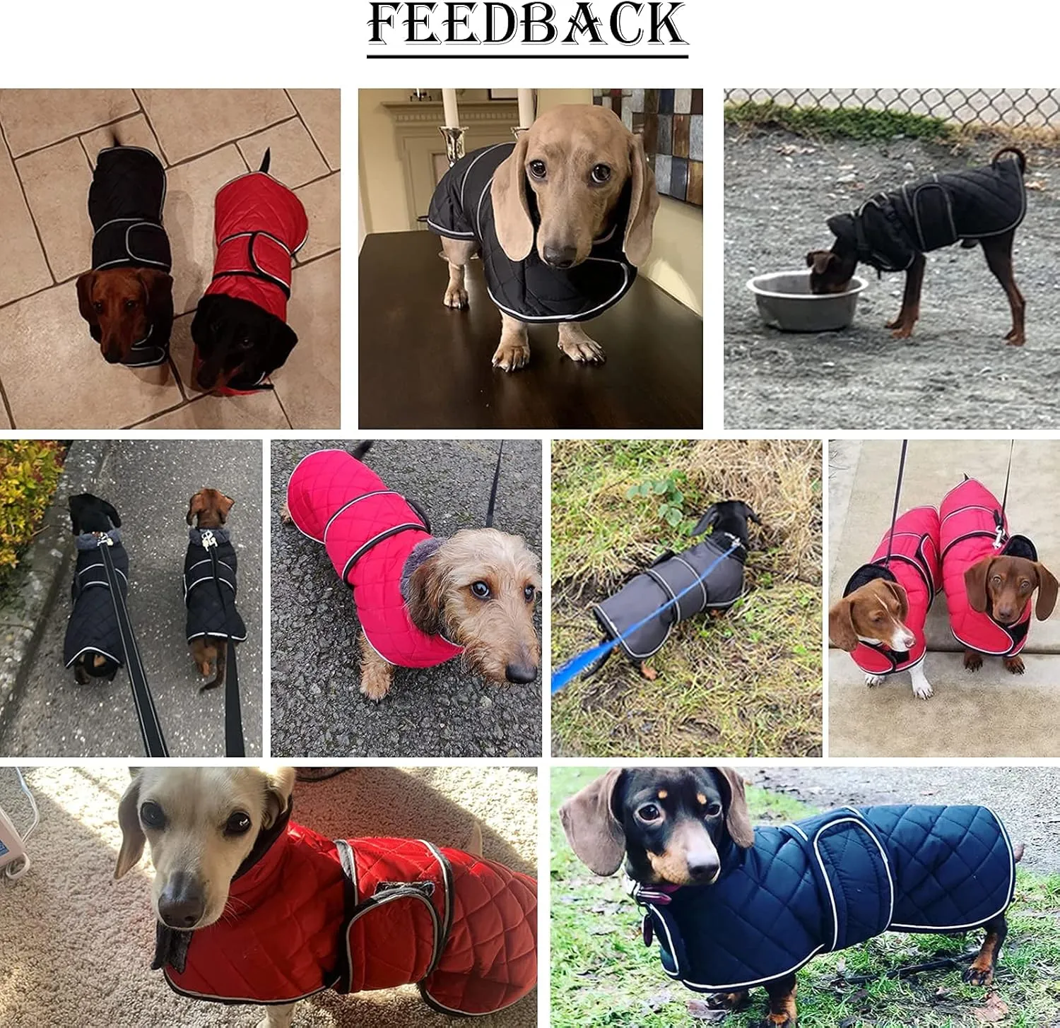 Dachshund Coat Dog Coats for Dachshunds Dachshund Winter Jacket with Padded Fleece Outdoor Dog Clothes with Adjustable Bands - Pink - M