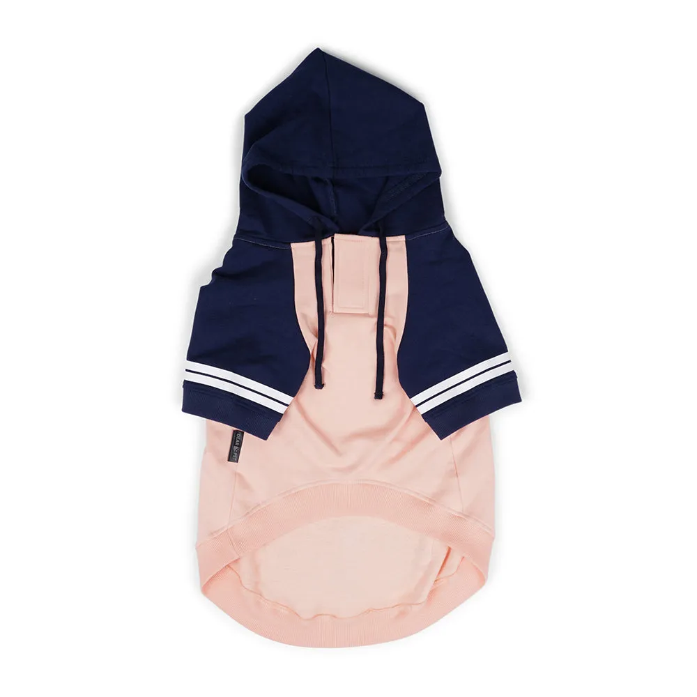 Dear Pet Peach & Blue with Stripes Sweatshirts for Dogs