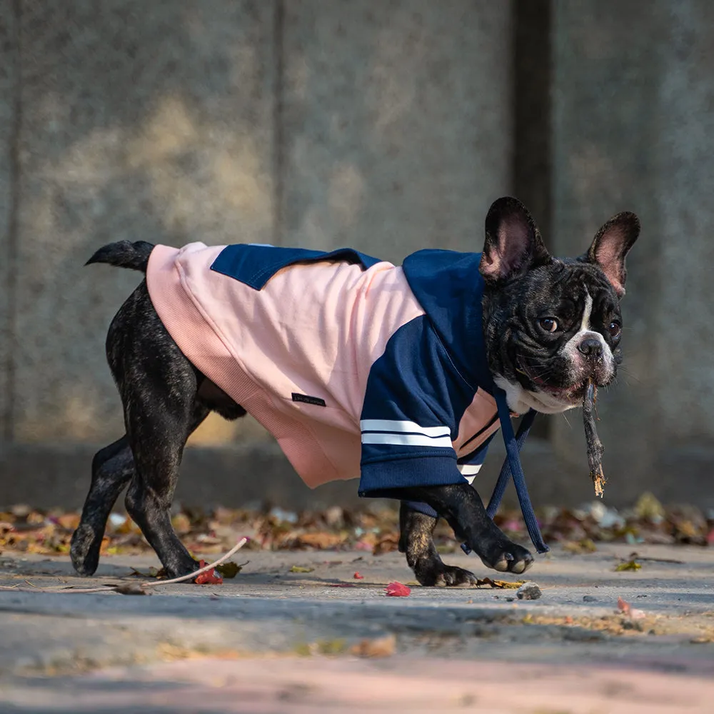 Dear Pet Peach & Blue with Stripes Sweatshirts for Dogs