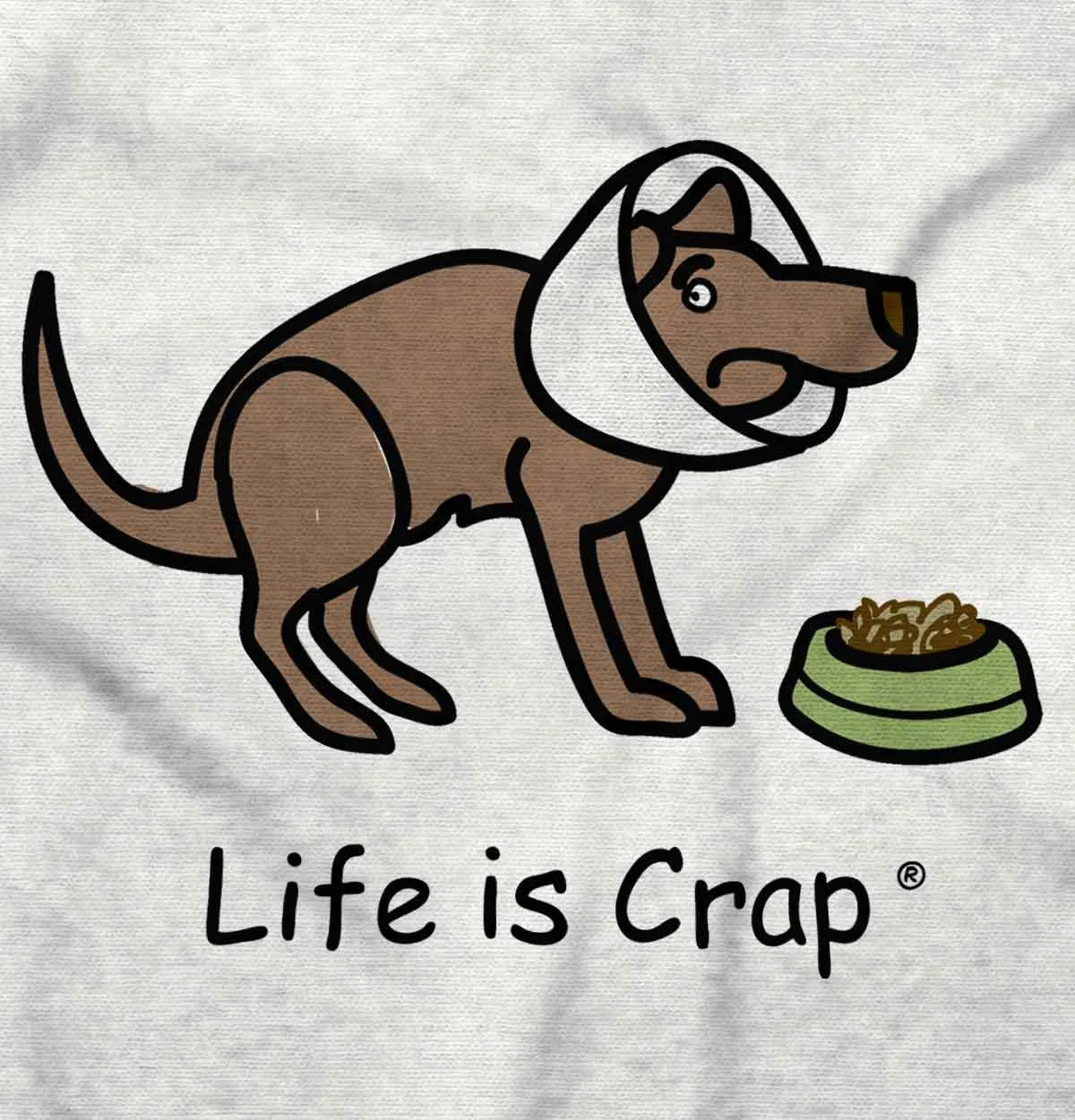 Dog Cone Hoodie