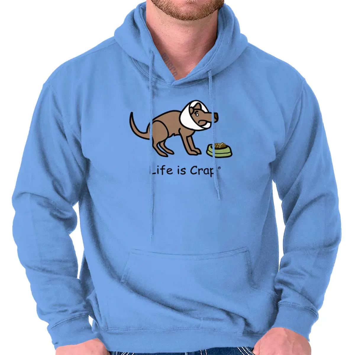 Dog Cone Hoodie