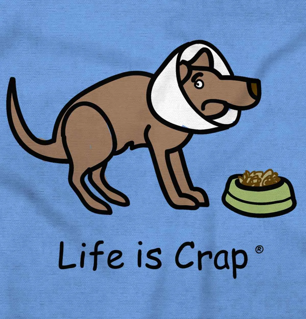 Dog Cone Hoodie