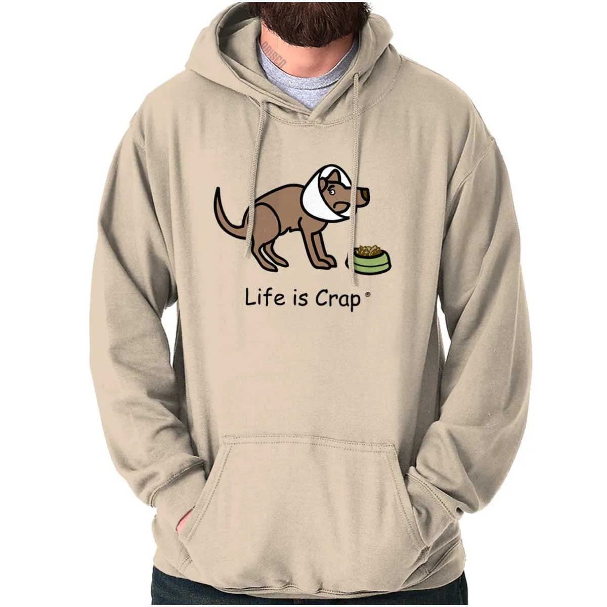 Dog Cone Hoodie
