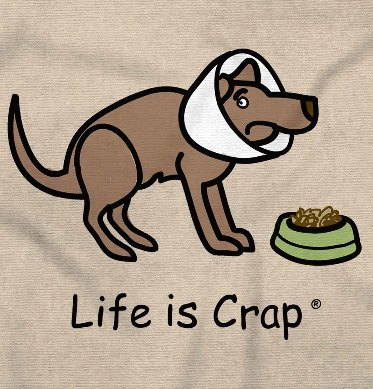 Dog Cone Hoodie