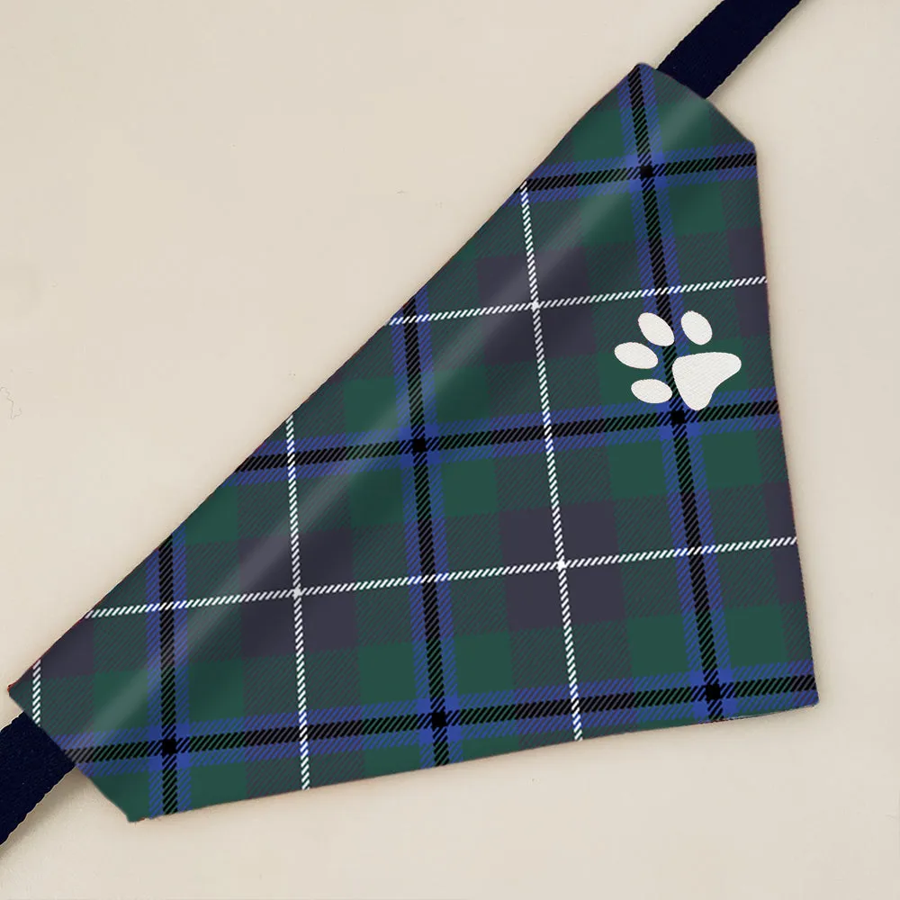 Douglas Modern Tartan Pet Bandana