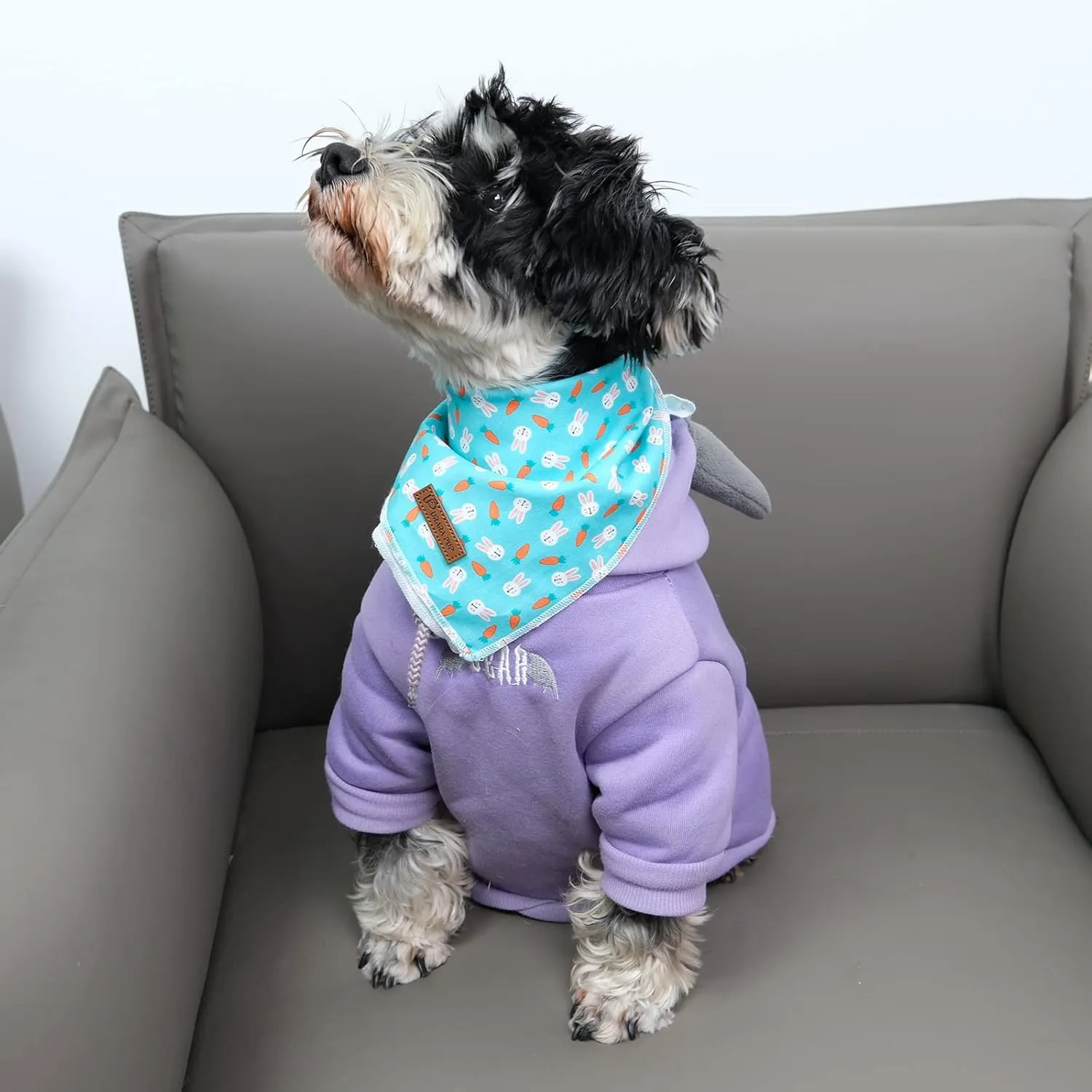Easter Dog Bandana, Easter Triangle Bid Scarf for Small Medium Dog, Cotton Pet Kerchief for Girl Boy Dogs or Cats, Cute Carrot & Rabbit Dog Bandana, Comfortable Easter Dog Bandana