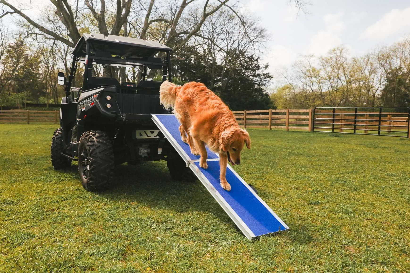 EZ-ACCESS Portable Pet Ramp