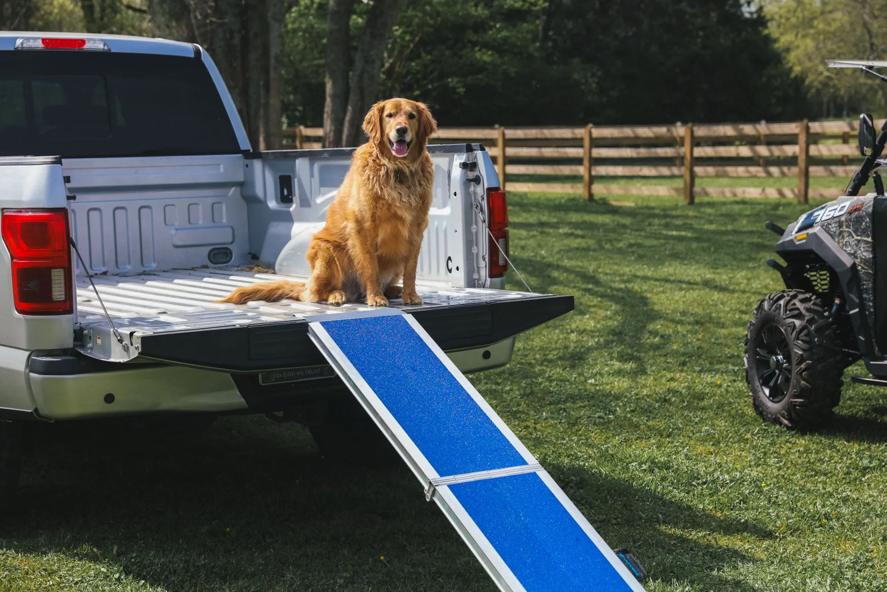 EZ-ACCESS Portable Pet Ramp