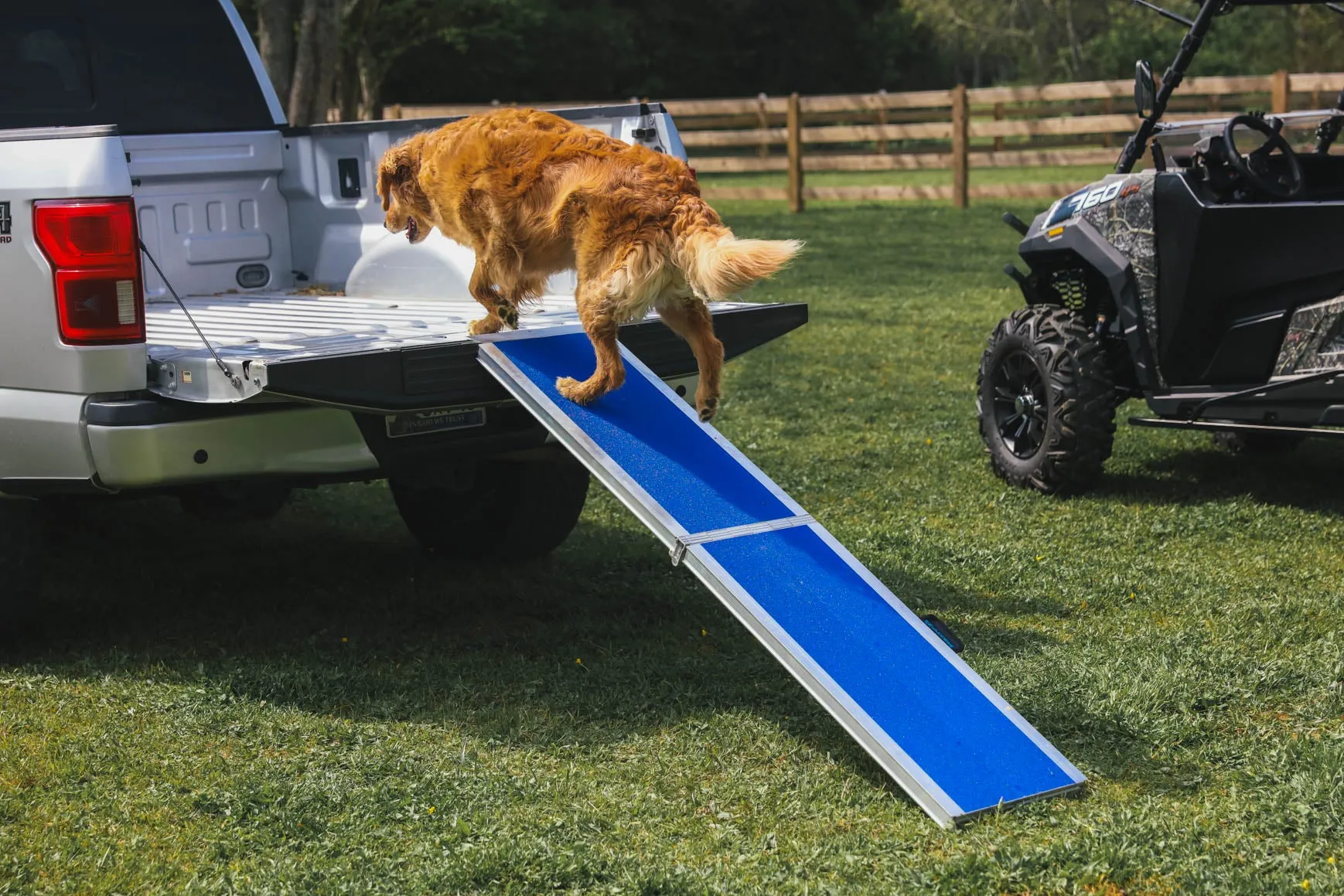 EZ-ACCESS Portable Pet Ramp