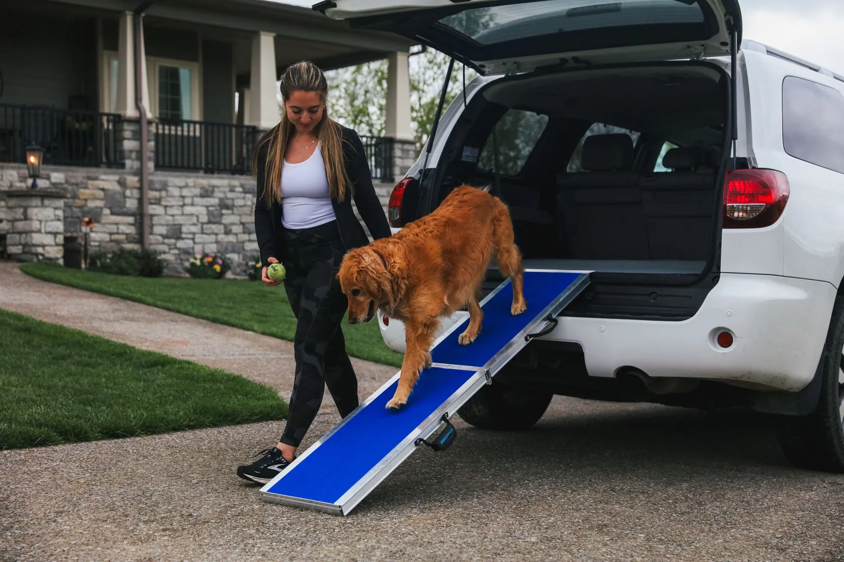 EZ-ACCESS Portable Pet Ramp