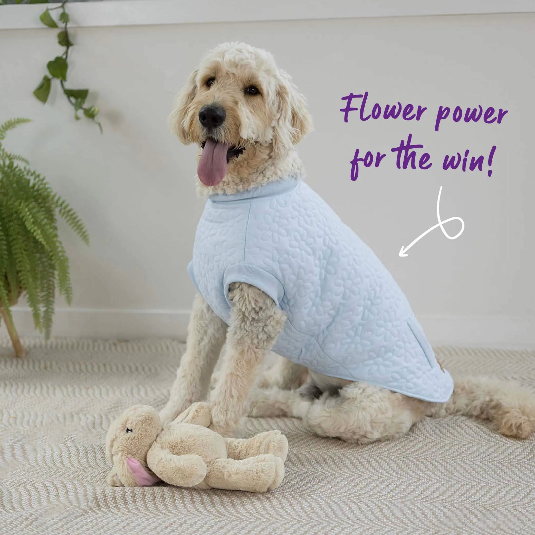 Flower Dog Jacket - Blue