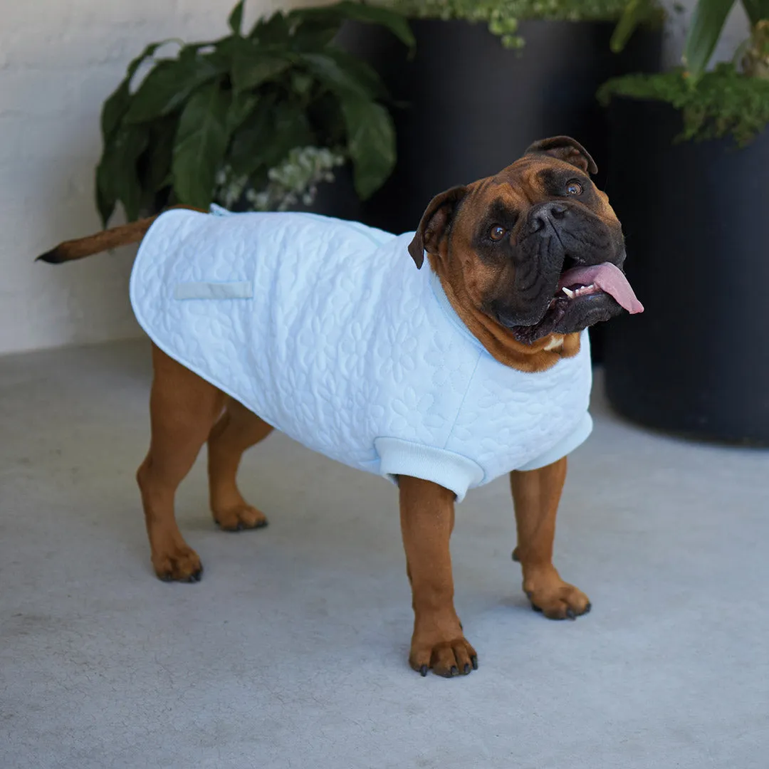 Flower Dog Jacket - Blue