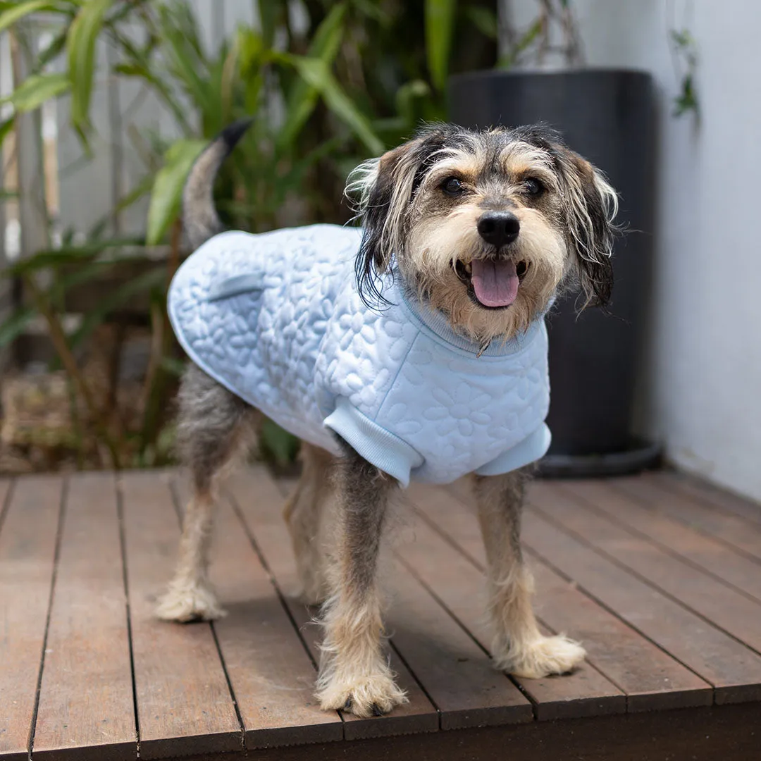Flower Dog Jacket - Blue