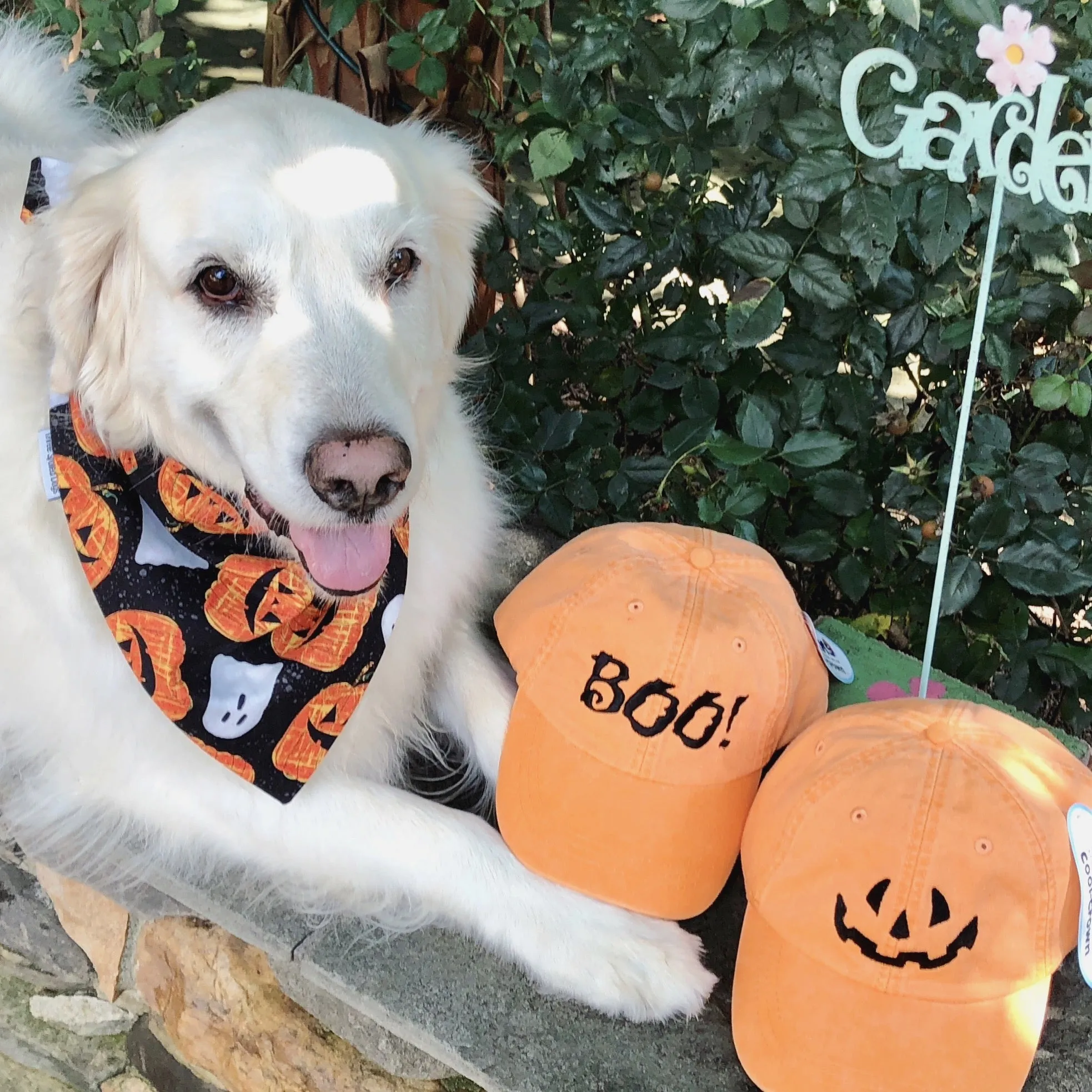 Halloween Bandanas with Dogs Name