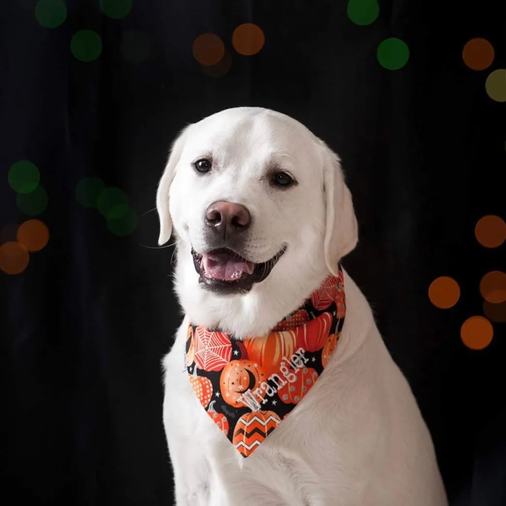 Halloween Bandanas with Dogs Name