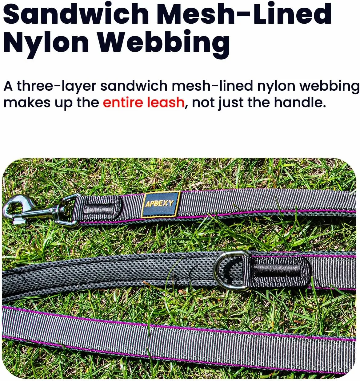 Heavy Duty Two Handle Dog Leash, Double Handles for Extral Control and Training, Dual Handles Leads, 6FT Long, Large Medium Small Dogs (Blue/Grey, 1'' X 6ft.)