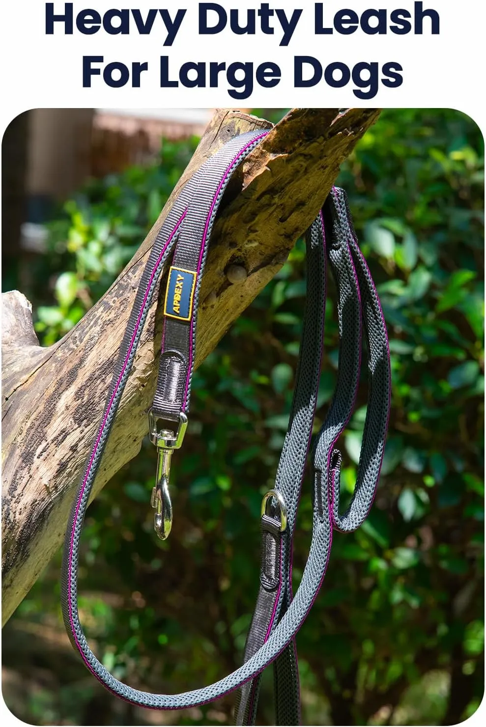 Heavy Duty Two Handle Dog Leash, Double Handles for Extral Control and Training, Dual Handles Leads, 6FT Long, Large Medium Small Dogs (Blue/Grey, 1'' X 6ft.)