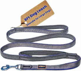Heavy Duty Two Handle Dog Leash, Double Handles for Extral Control and Training, Dual Handles Leads, 6FT Long, Large Medium Small Dogs (Blue/Grey, 1'' X 6ft.)