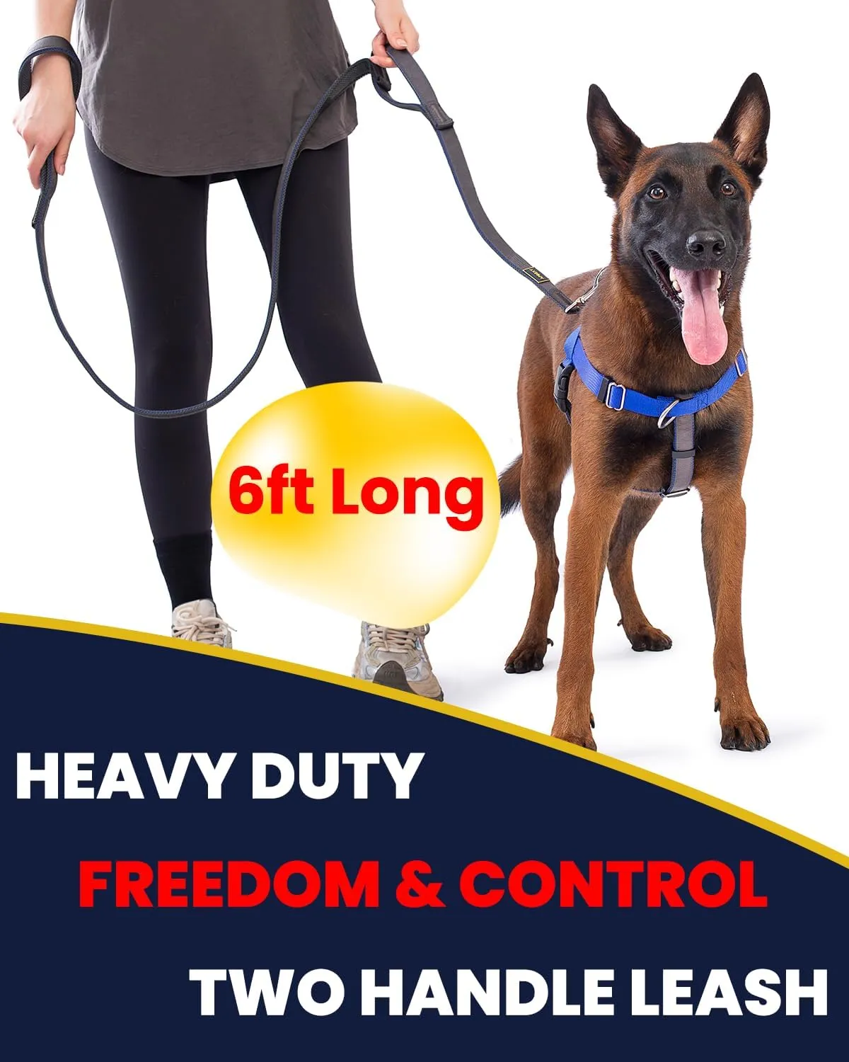 Heavy Duty Two Handle Dog Leash, Double Handles for Extral Control and Training, Dual Handles Leads, 6FT Long, Large Medium Small Dogs (Blue/Grey, 1'' X 6ft.)