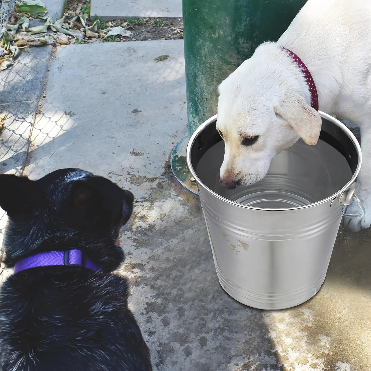 Hicarer 4 Pcs Stainless Steel Dog Water Bucket, Heavy Duty Stainless Steel Bucket Water Pails for Dogs Pets, Kennels Farms Fences(4 Quart,Silver)
