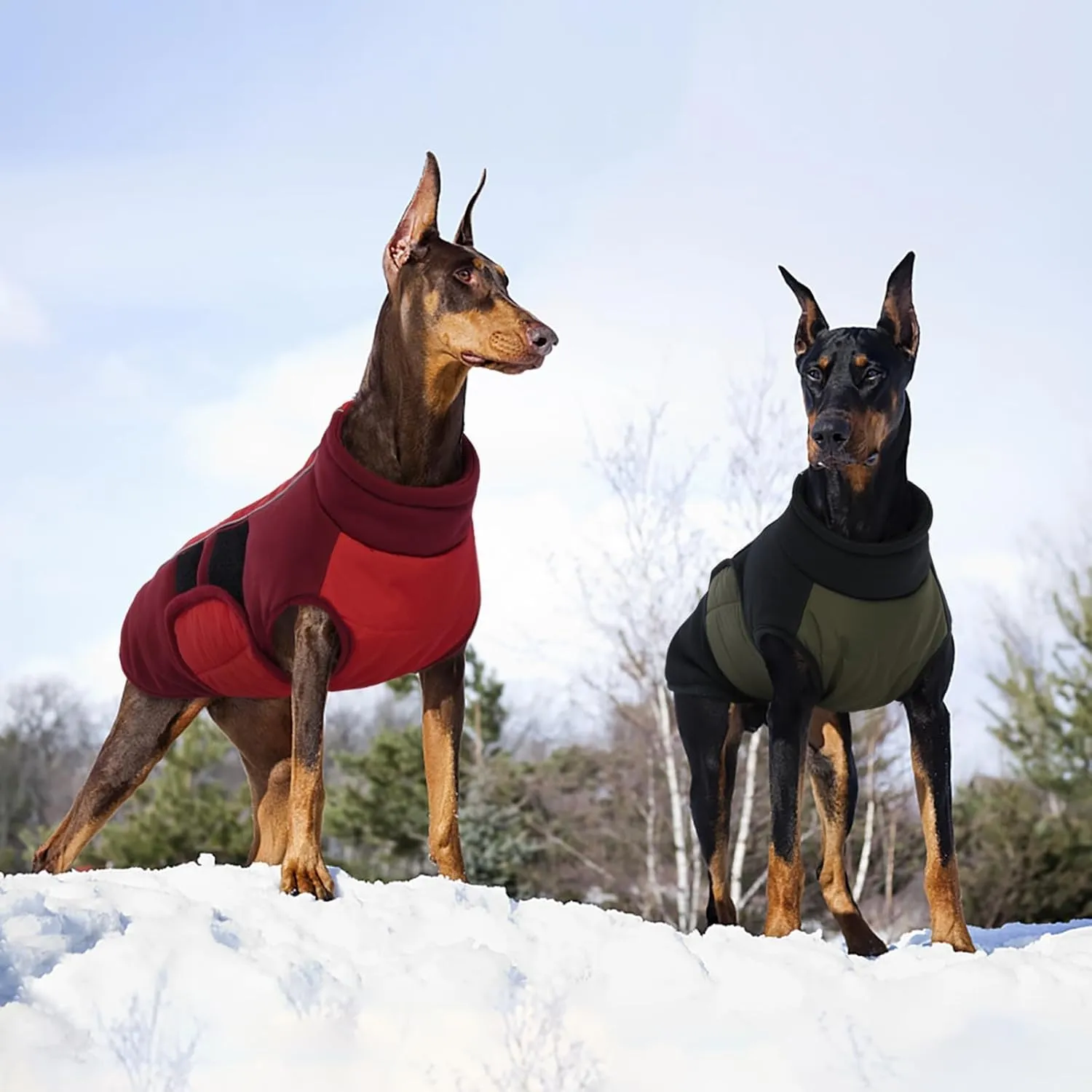 Kuoser Dog Jacket With Built-in Harness, Warm Coat for Small Dogs, Winter Pet Clothes for Cold Weather, Reflective Waterproof Vest for Pug Dachshund, Red S