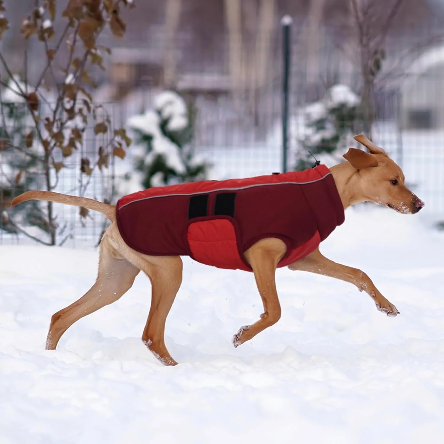 Kuoser Dog Jacket With Built-in Harness, Warm Coat for Small Dogs, Winter Pet Clothes for Cold Weather, Reflective Waterproof Vest for Pug Dachshund, Red S