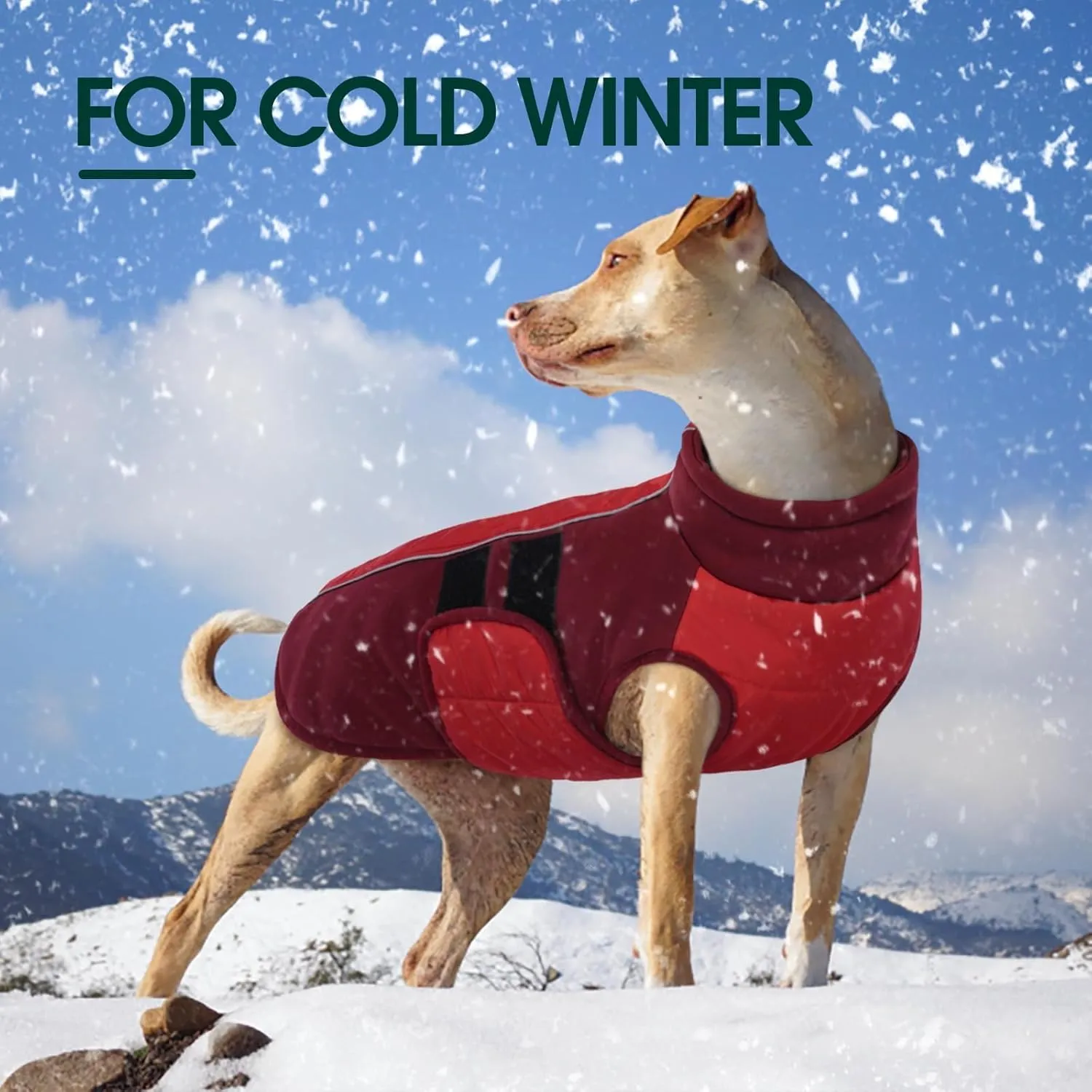 Kuoser Dog Jacket With Built-in Harness, Warm Coat for Small Dogs, Winter Pet Clothes for Cold Weather, Reflective Waterproof Vest for Pug Dachshund, Red S