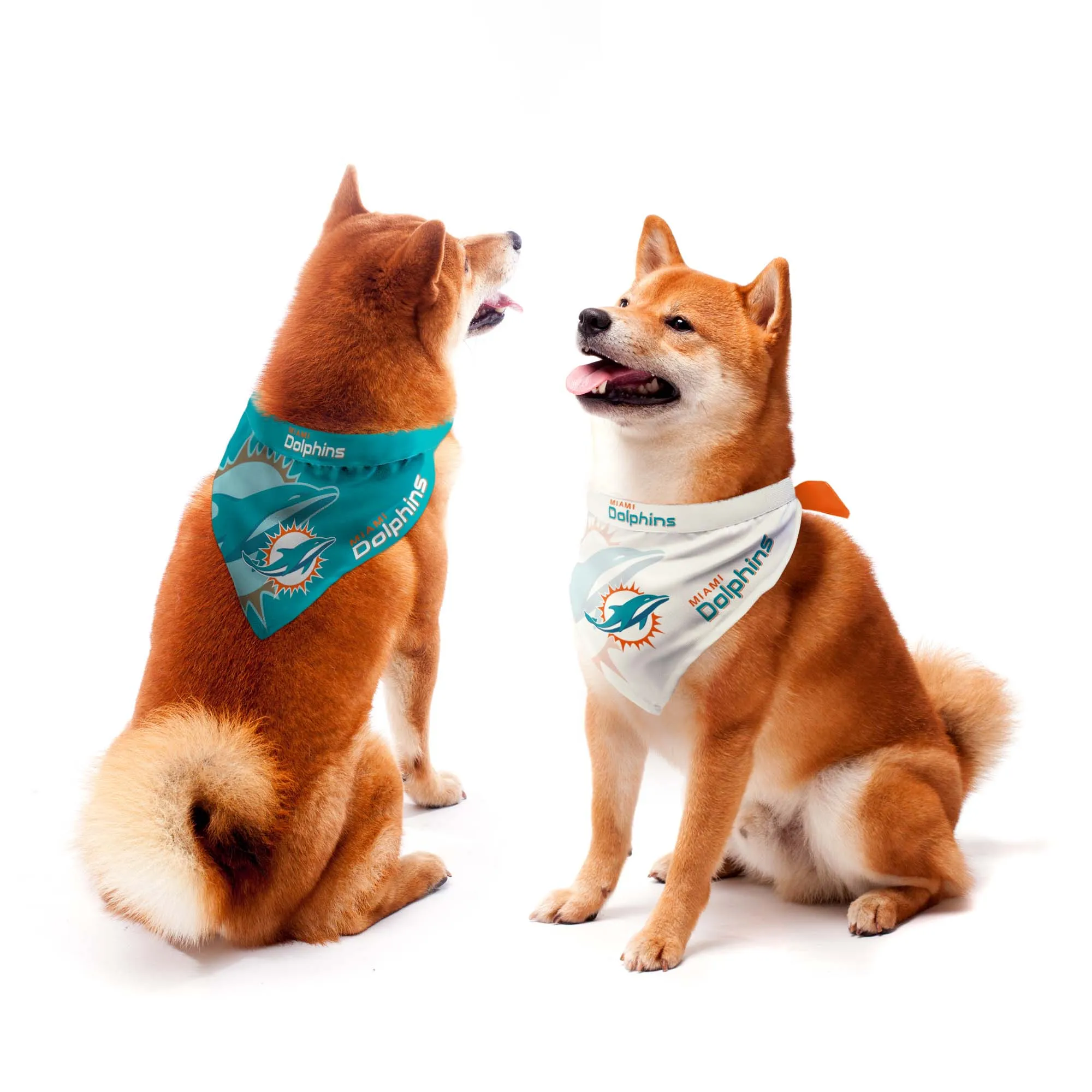 Little Earth NFL Miami Dolphins Home & Away Dog Bandana Set
