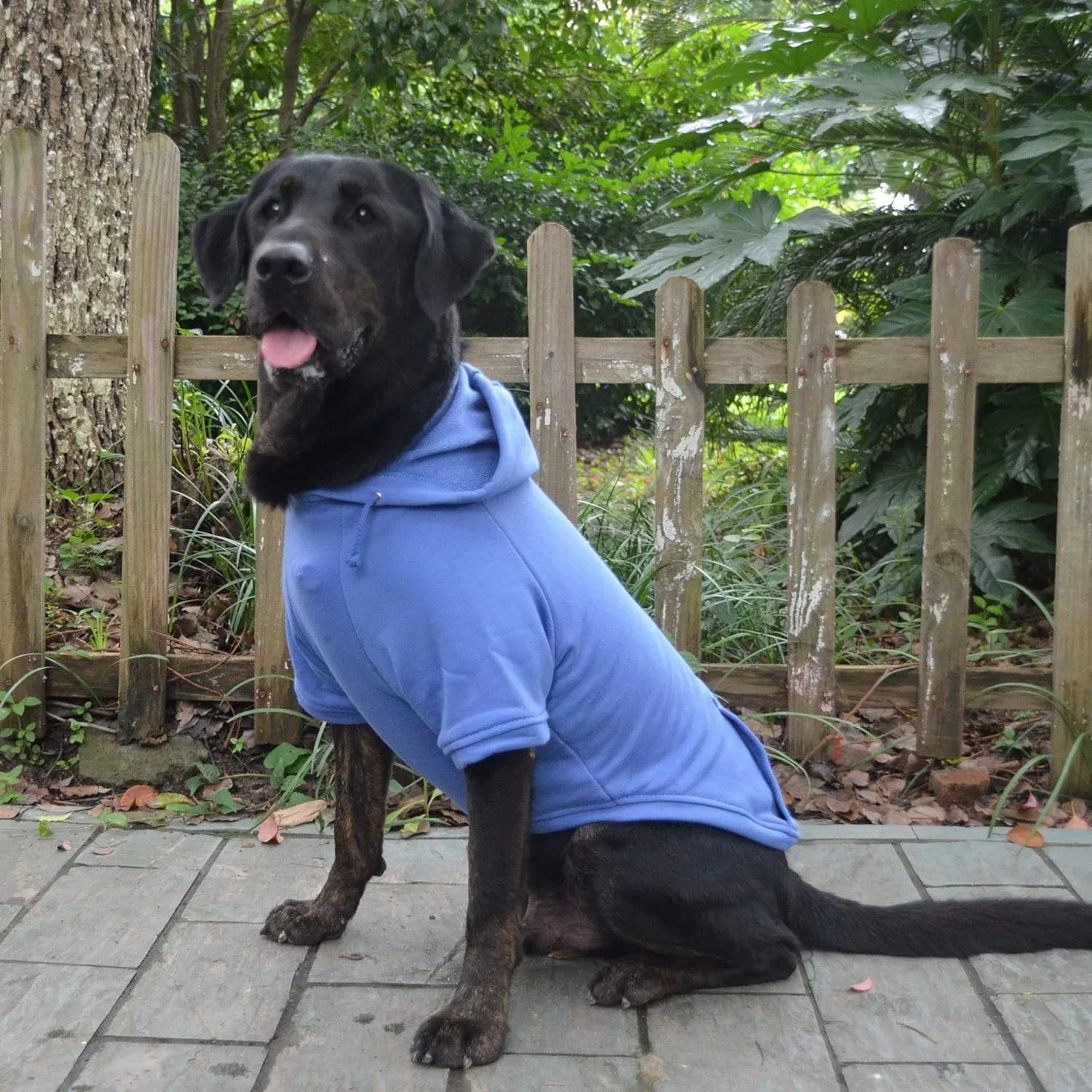 Lovelonglong Blank Basic Hoodie Sweatshirt for Dogs 100% Cotton Fits Small Medium Dachshund Large Dog Royle Blue 3XL
