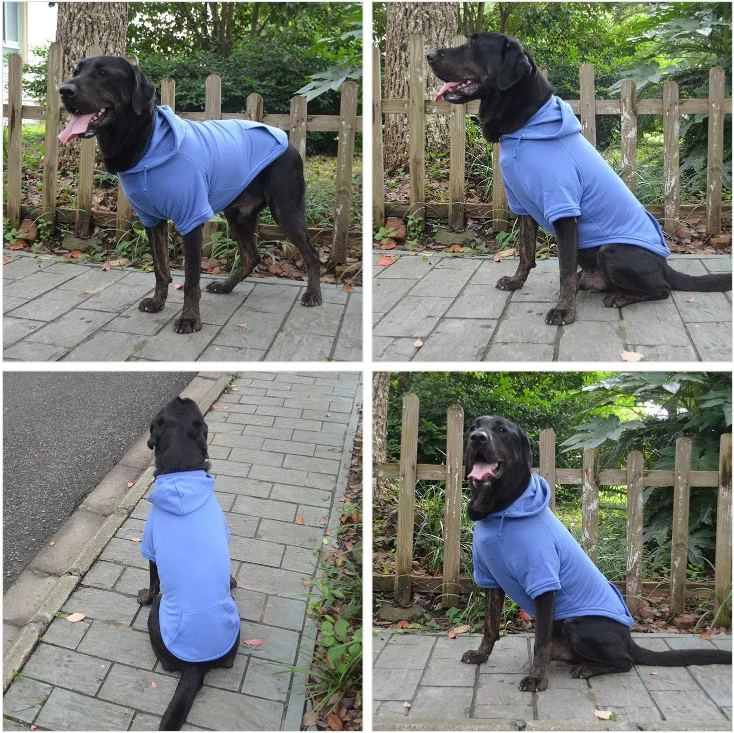 Lovelonglong Blank Basic Hoodie Sweatshirt for Dogs 100% Cotton Fits Small Medium Dachshund Large Dog Royle Blue 3XL