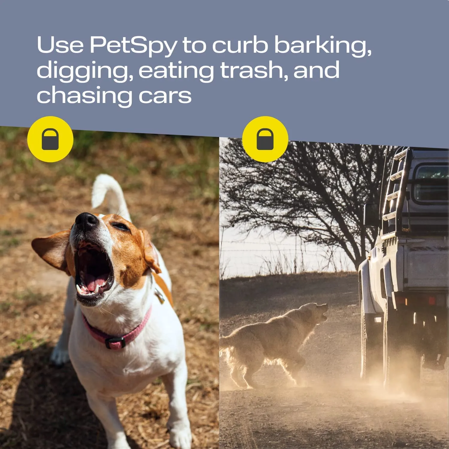 N30 Ultrasonic Barking Dog Deterrent - Stop barking device