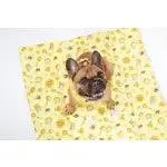 On-The-Go Pet Mat