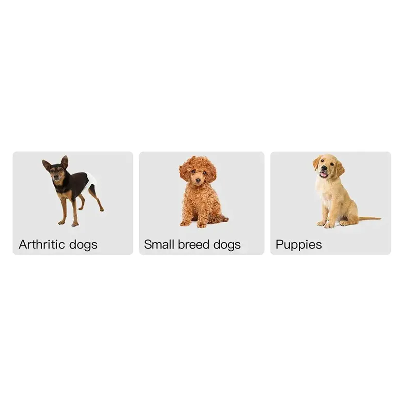 Pat and Pet Emporium | Pet Home Products | Portable Dog Step