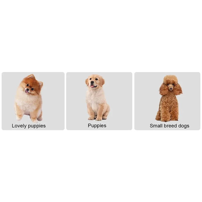 Pat and Pet Emporium | Pet Home Products | Portable Dog Step