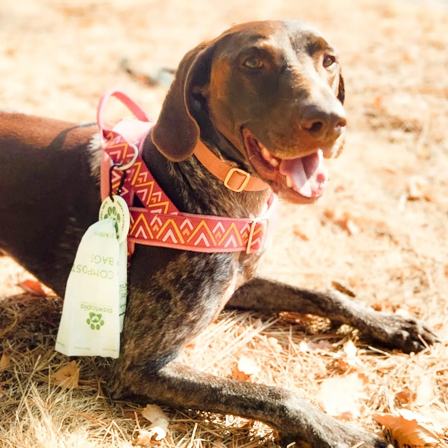 Pawtria Certified Home Compostable Dog Poop Bags (120 Bags   Pink Poop Bag Carrier), Biodegradable Poop Bags, Vegetable Starches, Leak proof Dog Waste Bags, Light-weight silicone made bag carrier