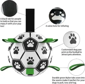 Pet Football
