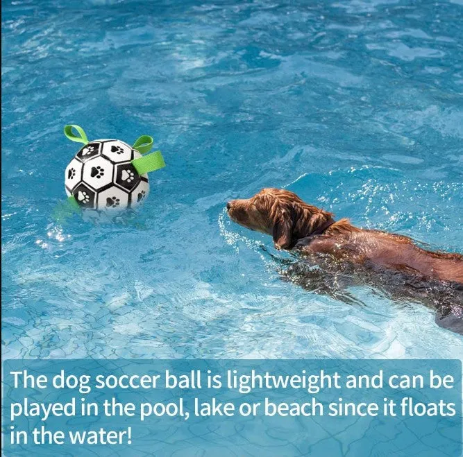 Pet Football