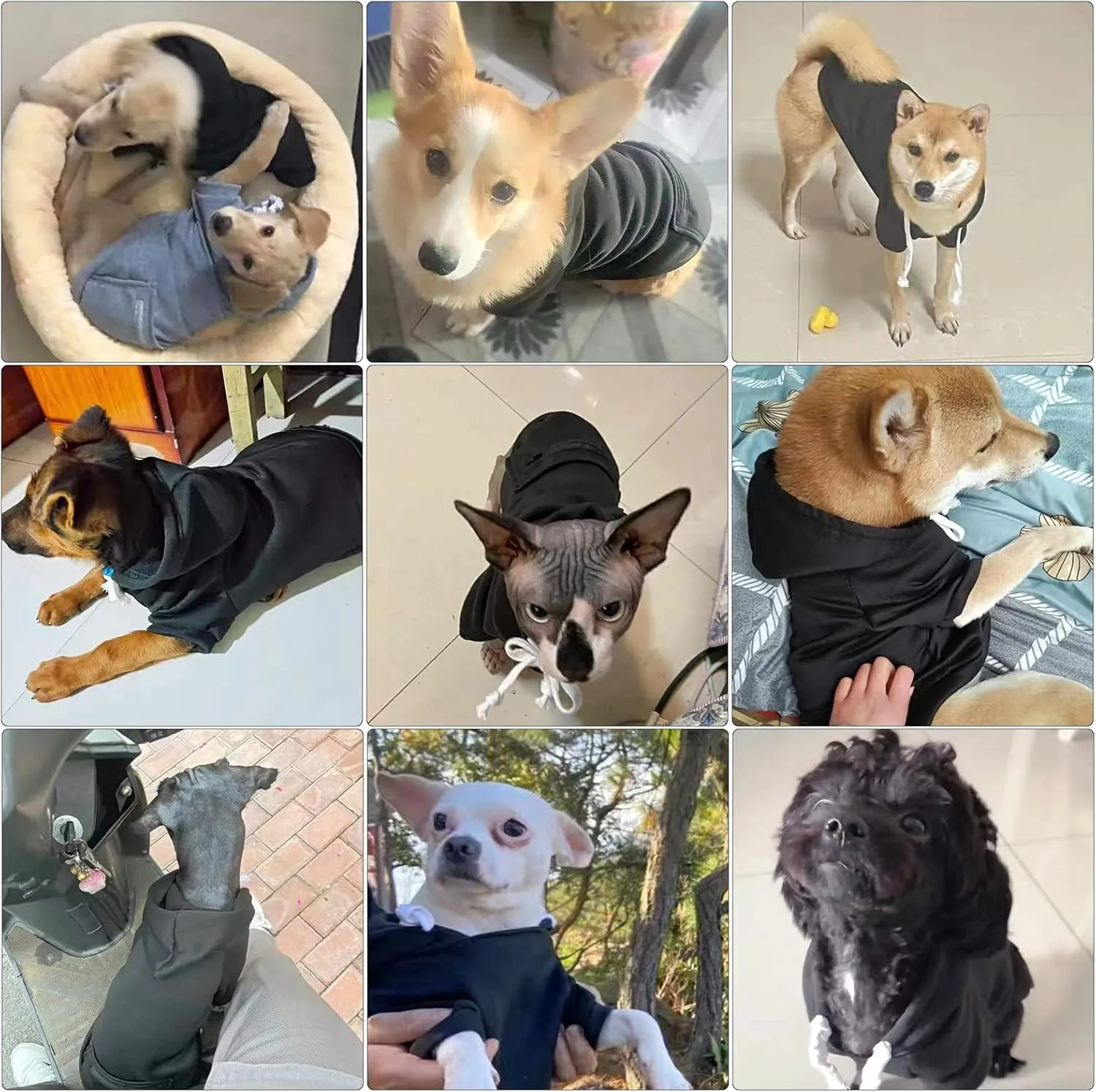 PETCARE Small Dog Sweater Hoodies Pet Black Hooded Soft Fleece Sweatshirts with Pocket Fall Winter Puppy Cat Sweaters Warm Clothes for Small Dogs Shih Tzu Yorkies French Bulldog Outfits Costume