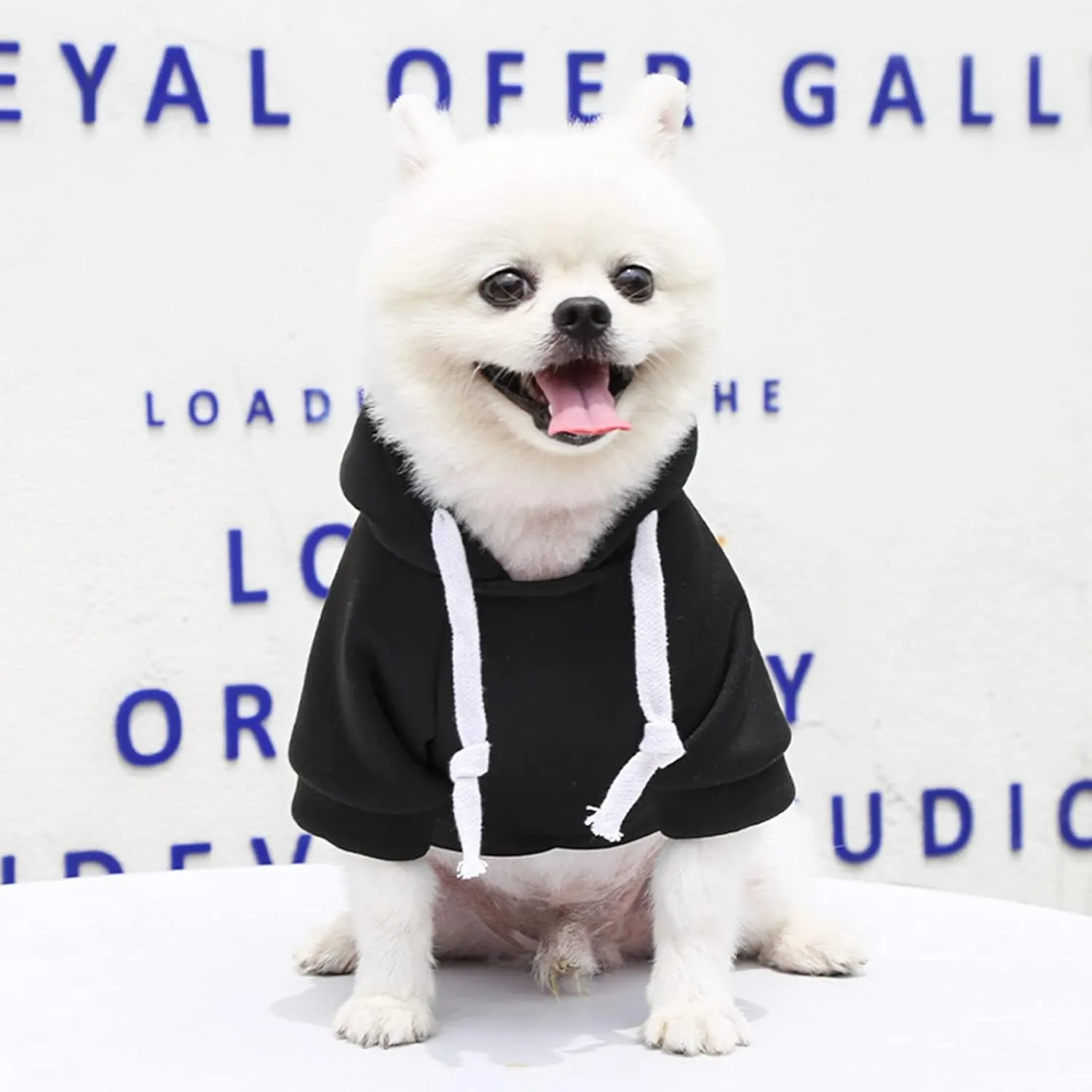 PETCARE Small Dog Sweater Hoodies Pet Black Hooded Soft Fleece Sweatshirts with Pocket Fall Winter Puppy Cat Sweaters Warm Clothes for Small Dogs Shih Tzu Yorkies French Bulldog Outfits Costume